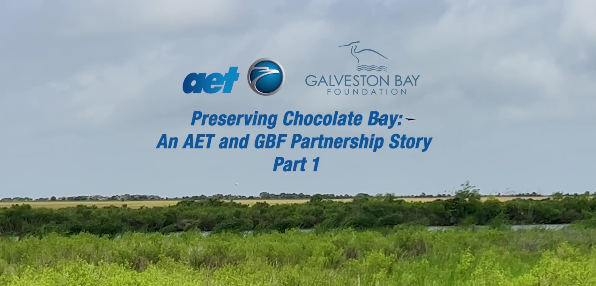 Preserving Chocolate Bay — An AET and GBF Partnership Story Part 1