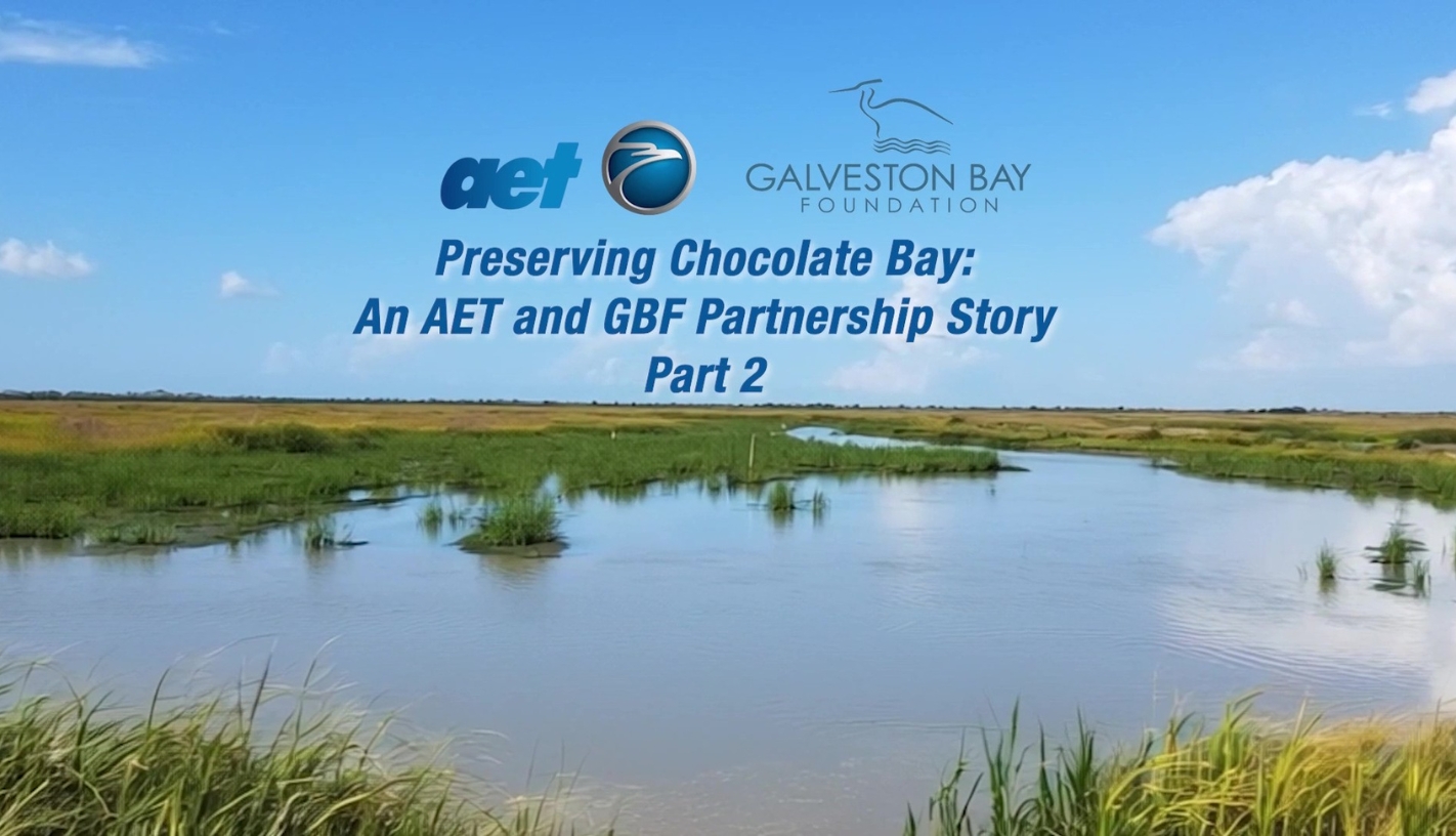 Preserving Chocolate Bay — An AET and GBF Partnership Story Part 2
