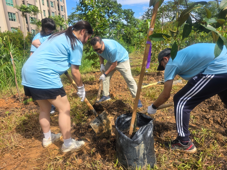 SMF Tree Planting - Planting 1