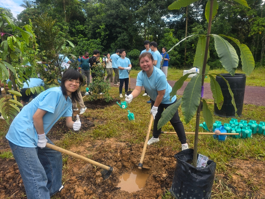SMF Tree Planting - Planting 2