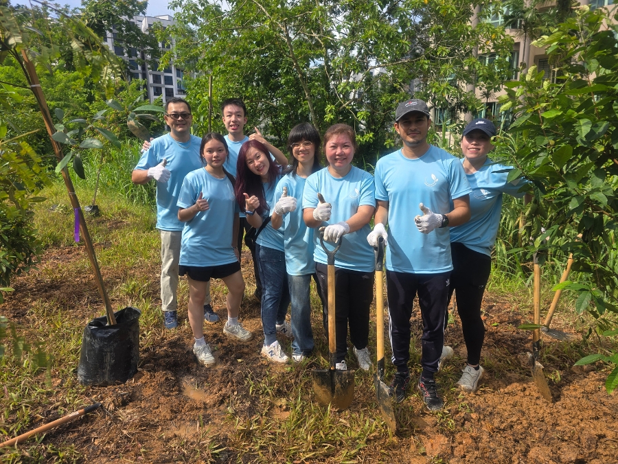 SMF Tree Planting - Team